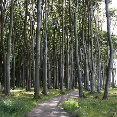 Friederike 1 Apartment *