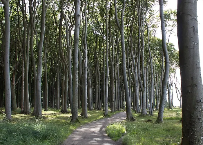 Apartment Friederike 1